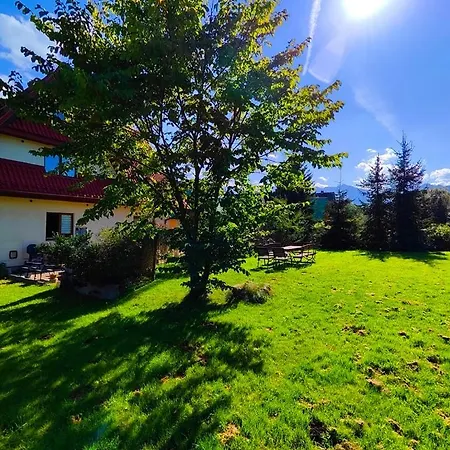 Otel Kominkowa Willa