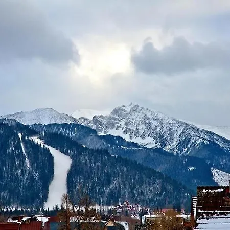 Otel Kominkowa Willa