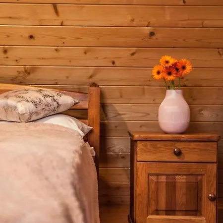 Privat bolig Kominkowa Willa *